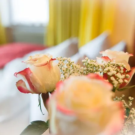 Guest house Madseiterhof