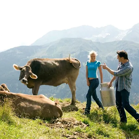 Madseiterhof Casa de hóspedes 3*