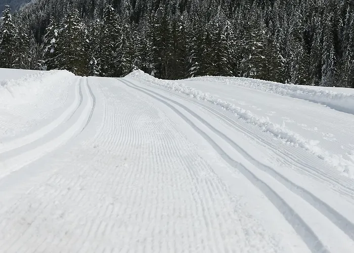 Madseiterhof Gasthof Tux