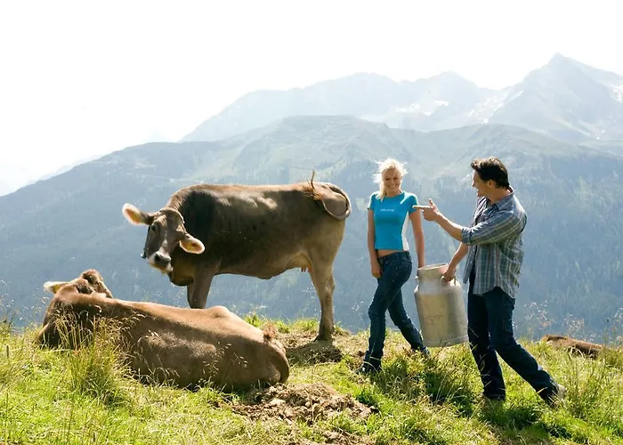Madseiterhof בית הארחה 3*